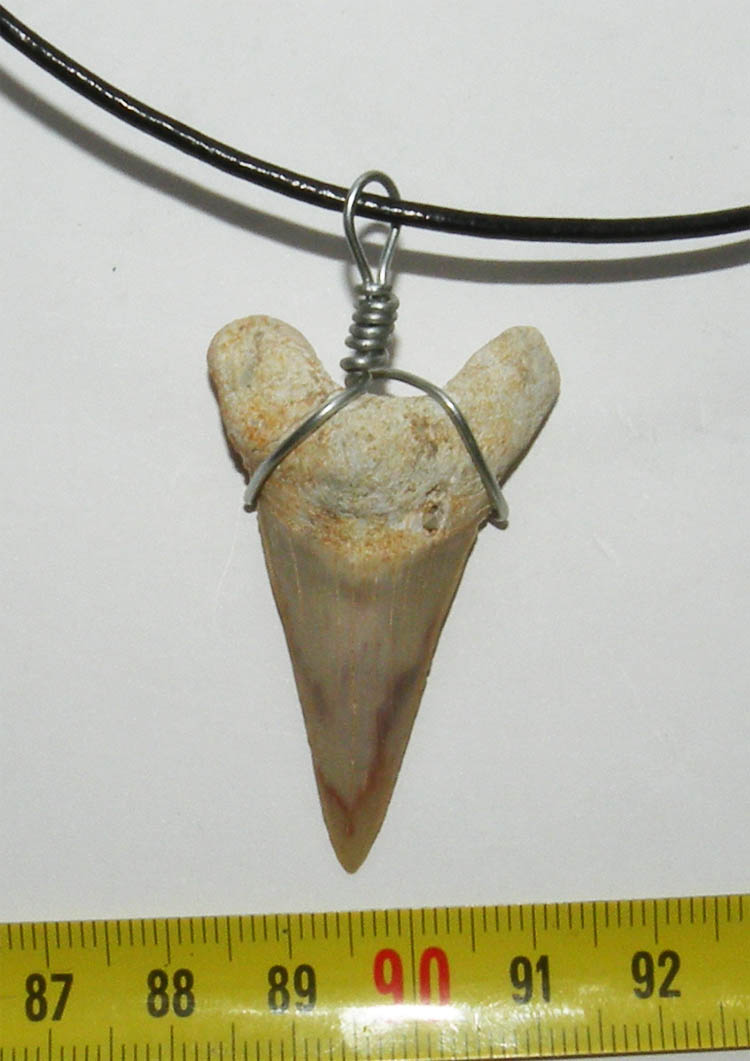 https://www.nuggetsfactory.com/EURO/megalodon/collier/11%20collier%20a.jpg