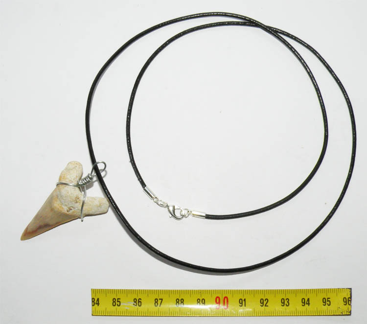 https://www.nuggetsfactory.com/EURO/megalodon/collier/11%20collier.jpg