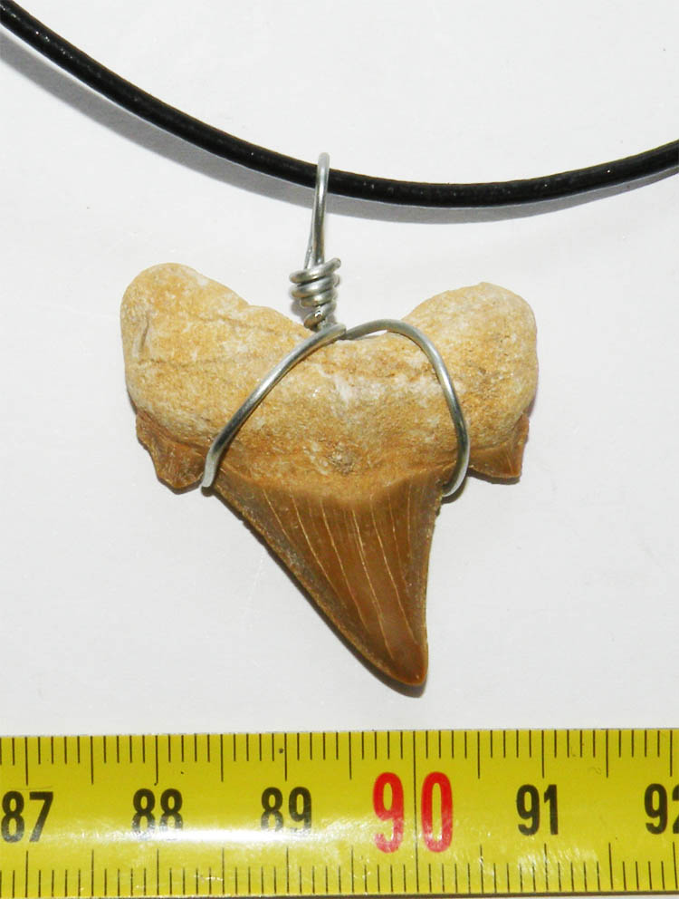 https://www.nuggetsfactory.com/EURO/megalodon/collier/12%20collier%20a.jpg