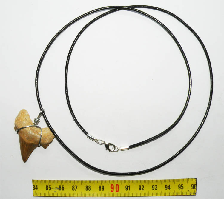 https://www.nuggetsfactory.com/EURO/megalodon/collier/12%20collier.jpg