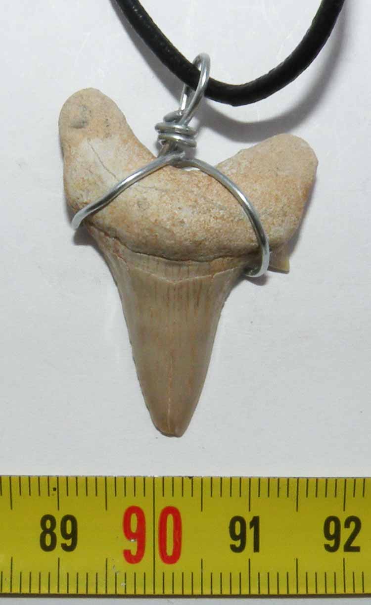 https://www.nuggetsfactory.com/EURO/megalodon/collier/13%20collier%20a.jpg