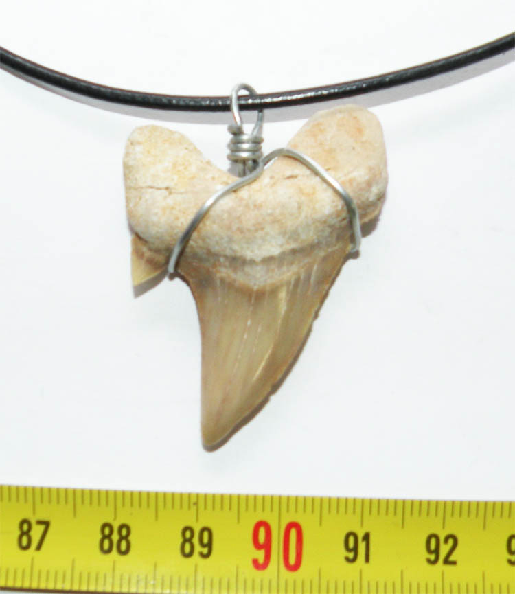 https://www.nuggetsfactory.com/EURO/megalodon/collier/14%20collier%20a.jpg