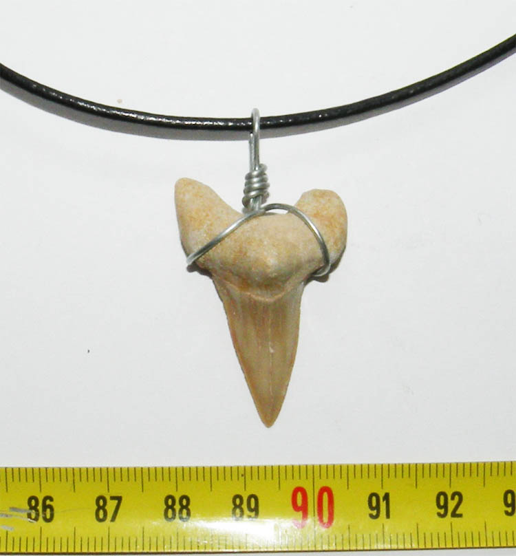 https://www.nuggetsfactory.com/EURO/megalodon/collier/20%20%20collier%20a.jpg