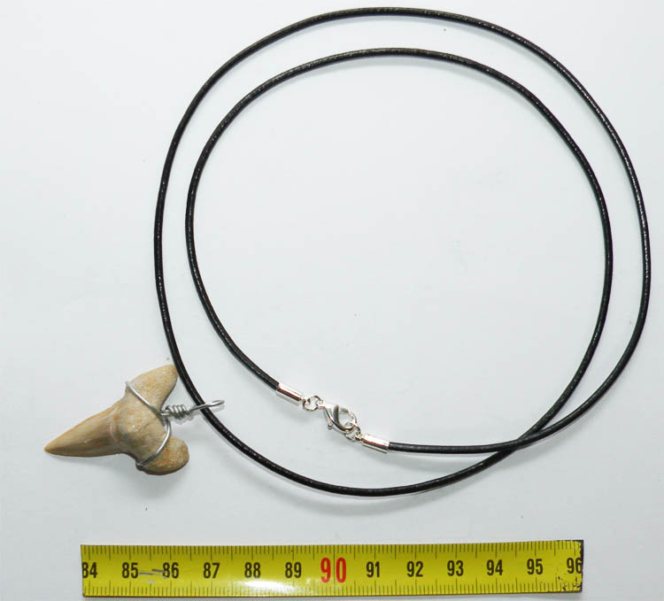https://www.nuggetsfactory.com/EURO/megalodon/collier/20%20%20collier.jpg