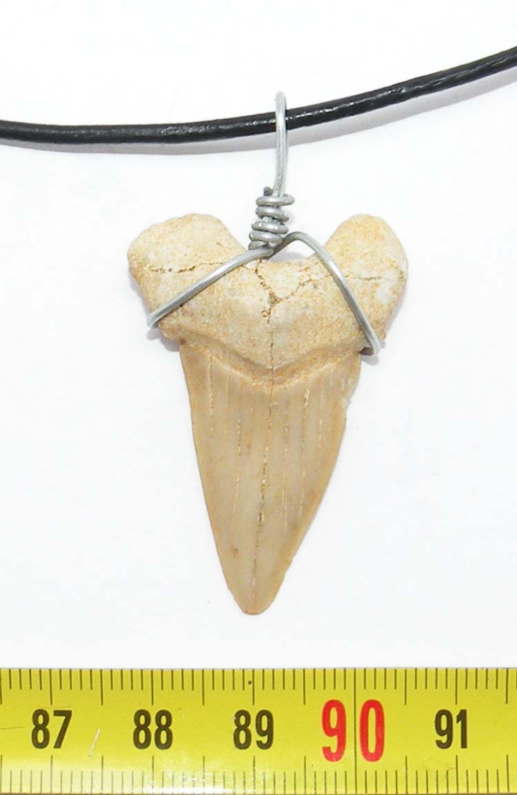 https://www.nuggetsfactory.com/EURO/megalodon/collier/25%20%20collier%20a.jpg