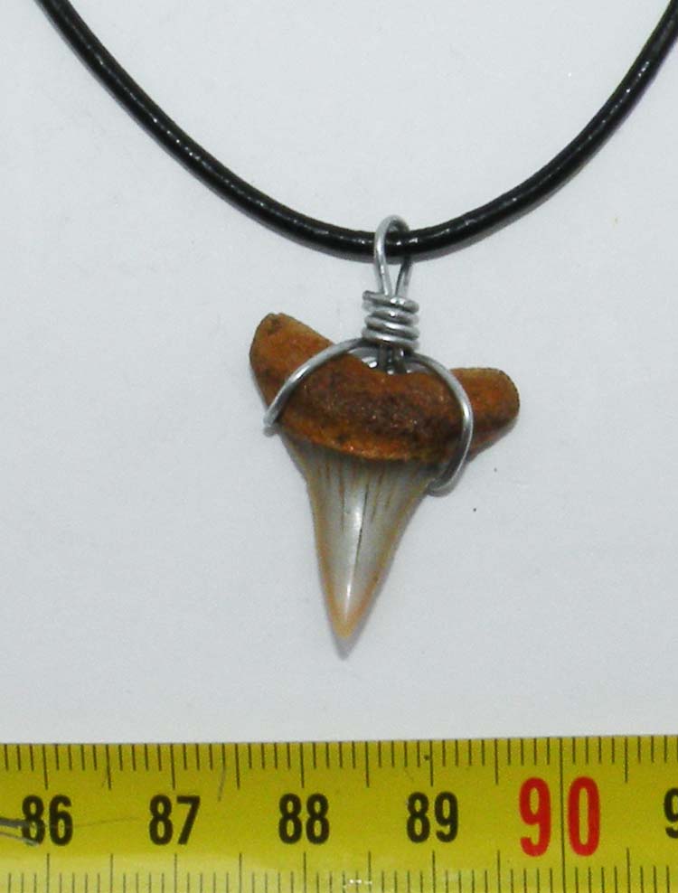 https://www.nuggetsfactory.com/EURO/megalodon/collier/30%20collier%20a.jpg