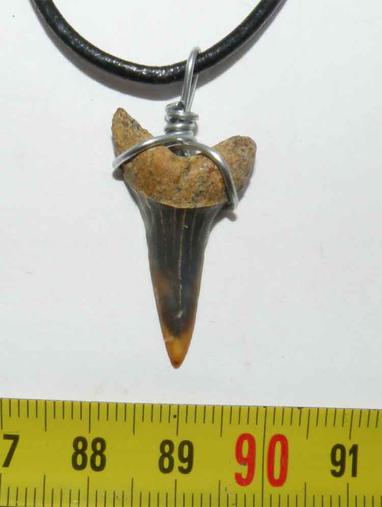 https://www.nuggetsfactory.com/EURO/megalodon/collier/31%20collier%20a.jpg