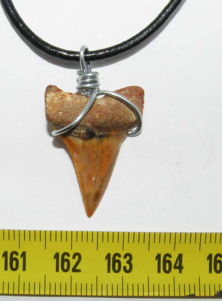 https://www.nuggetsfactory.com/EURO/megalodon/collier/32%20collier%20a.jpg