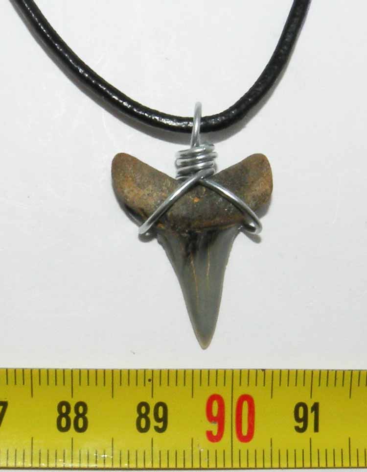 https://www.nuggetsfactory.com/EURO/megalodon/collier/33%20collier%20a.jpg