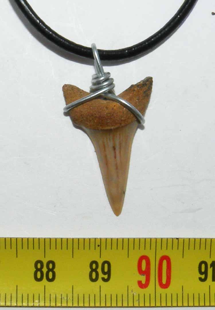 https://www.nuggetsfactory.com/EURO/megalodon/collier/38%20collier%20a.jpg