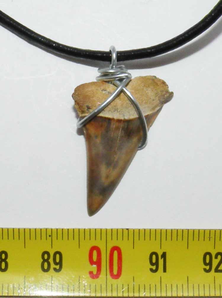 https://www.nuggetsfactory.com/EURO/megalodon/collier/41%20collier%20a.jpg