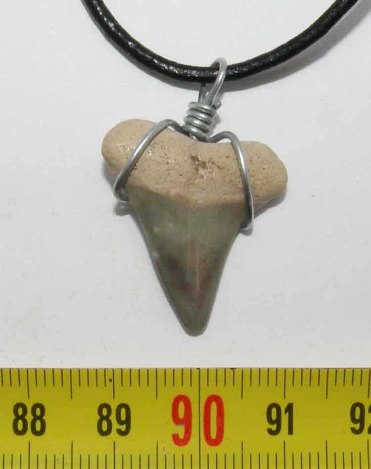https://www.nuggetsfactory.com/EURO/megalodon/collier/43%20collier%20a.jpg