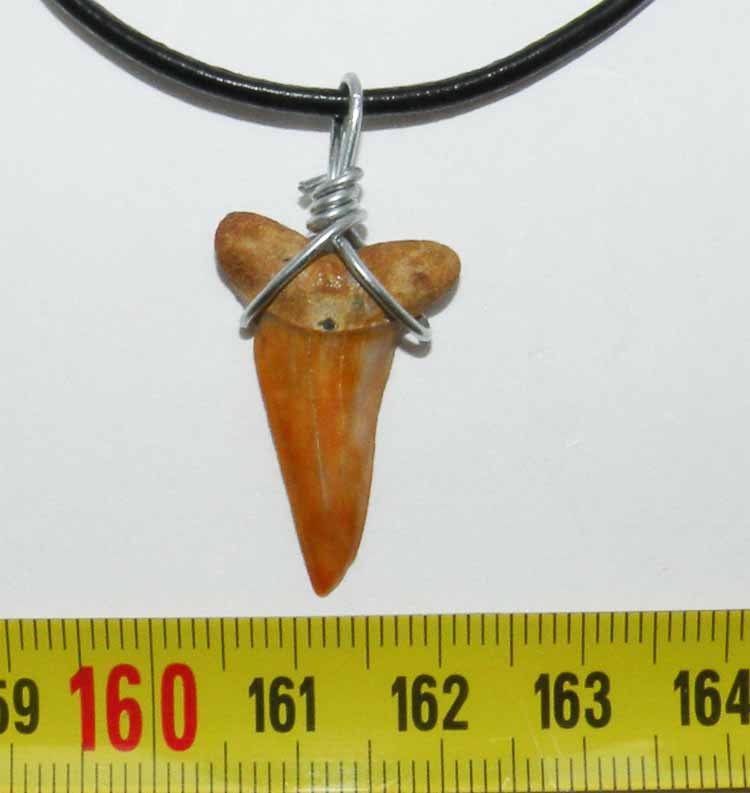 https://www.nuggetsfactory.com/EURO/megalodon/collier/44%20collier%20a.jpg