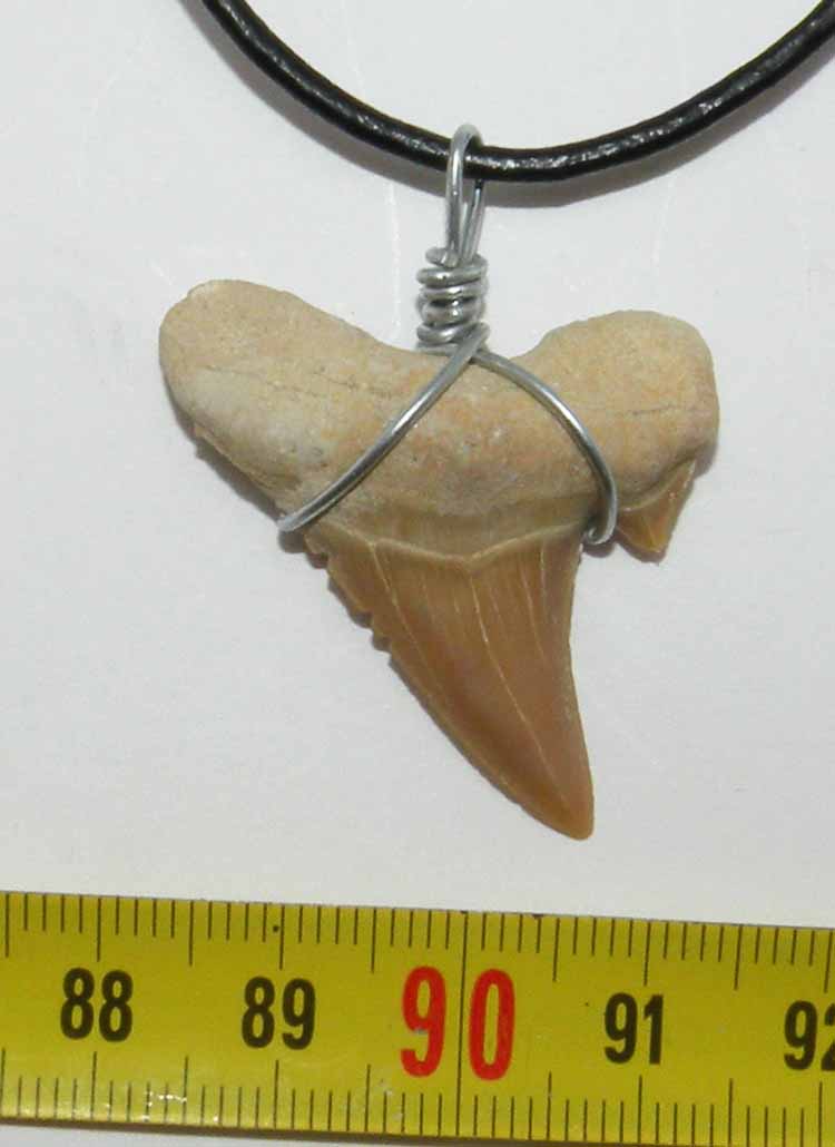 https://www.nuggetsfactory.com/EURO/megalodon/collier/47%20collier%20a.jpg