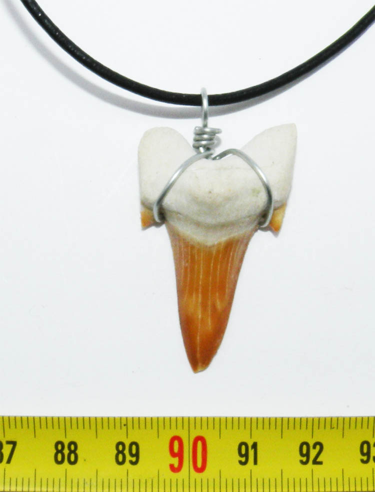 https://www.nuggetsfactory.com/EURO/megalodon/collier/5%20collier%20a.jpg