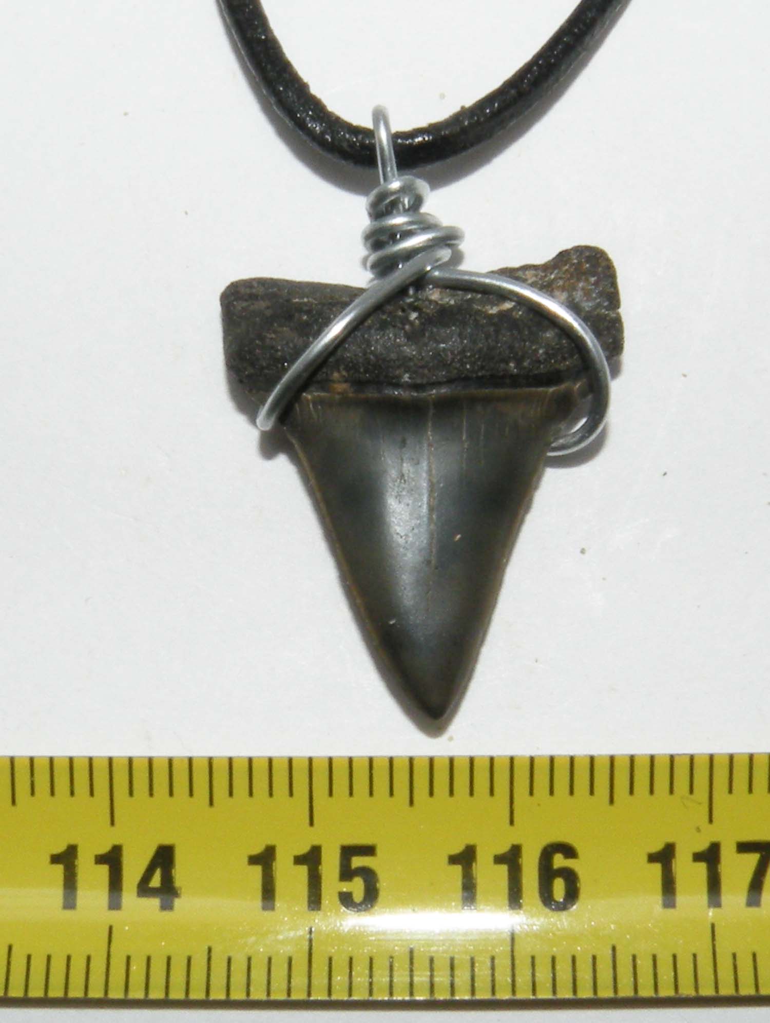 https://www.nuggetsfactory.com/EURO/megalodon/collier/51%20collier.jpg