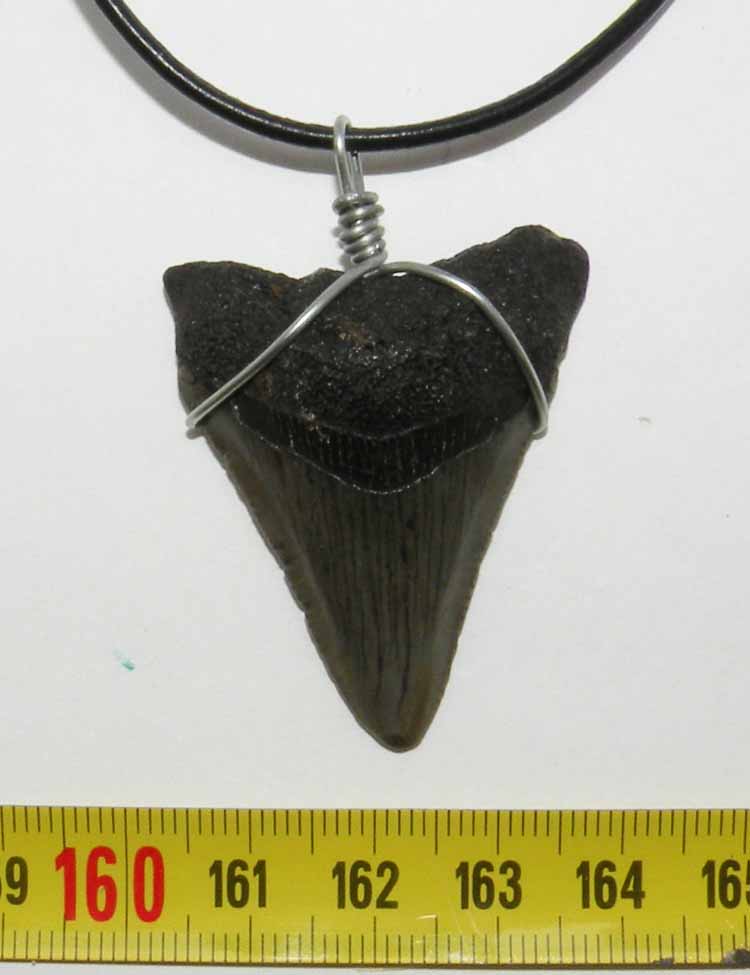 https://www.nuggetsfactory.com/EURO/megalodon/collier/54%20collier%20a.jpg