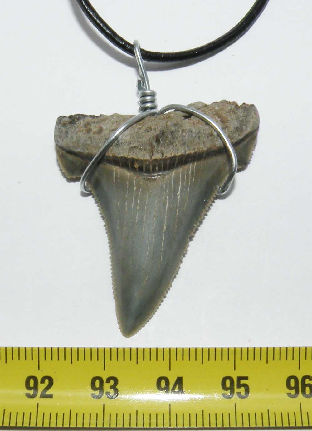 https://www.nuggetsfactory.com/EURO/megalodon/collier/56%20collier%20a.jpg