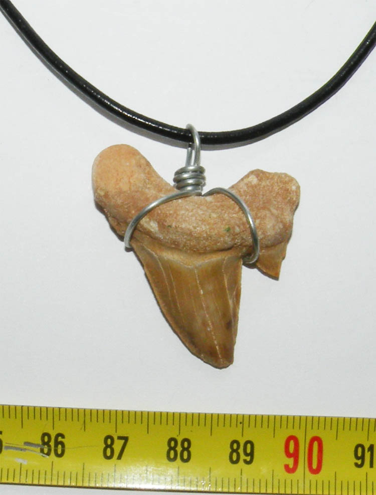 https://www.nuggetsfactory.com/EURO/megalodon/collier/9%20collier%20a.jpg