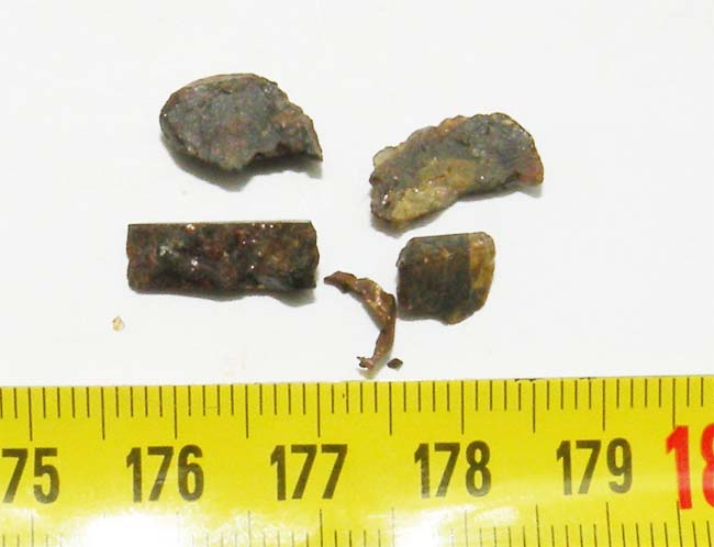 https://www.nuggetsfactory.com/EURO/meteorite/Pallasovka/1%20Pallasovka%20.jpg