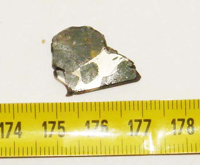 https://www.nuggetsfactory.com/EURO/meteorite/Pallasovka/2%20Pallasovka%20.jpg