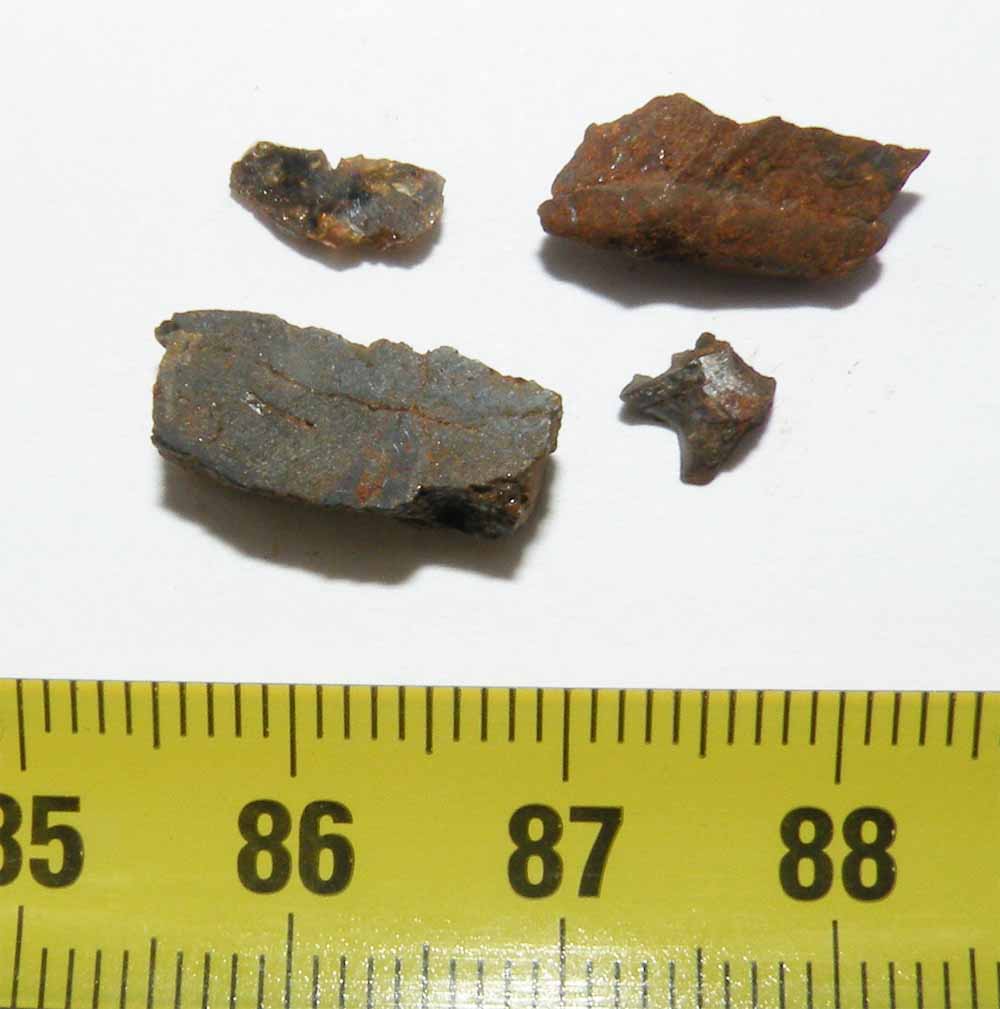https://www.nuggetsfactory.com/EURO/meteorite/Pallasovka/23%20Pallasovka%20.jpg