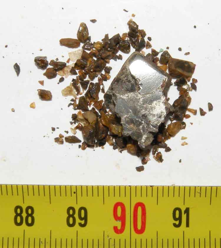https://www.nuggetsfactory.com/EURO/meteorite/brahin%20palassite/11%20brahin.jpg