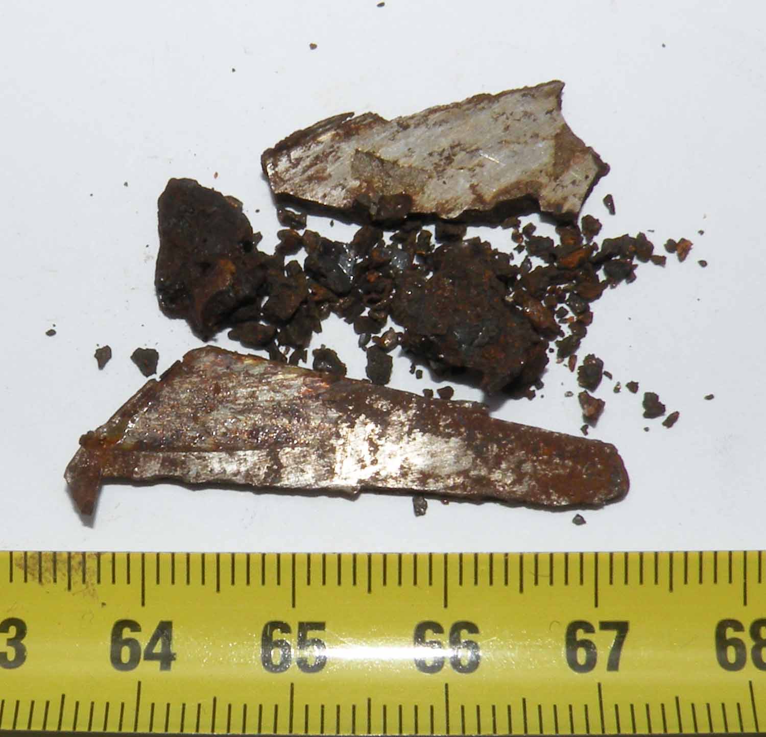 https://www.nuggetsfactory.com/EURO/meteorite/brahin%20palassite/16%20brahin.jpg