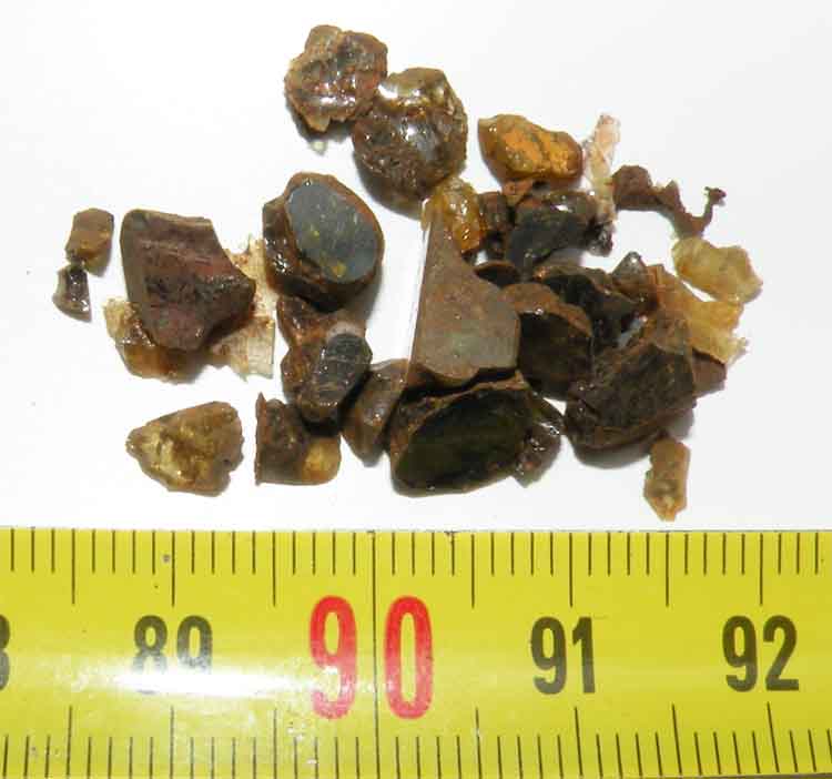 https://www.nuggetsfactory.com/EURO/meteorite/brahin%20palassite/3%20brahin.jpg
