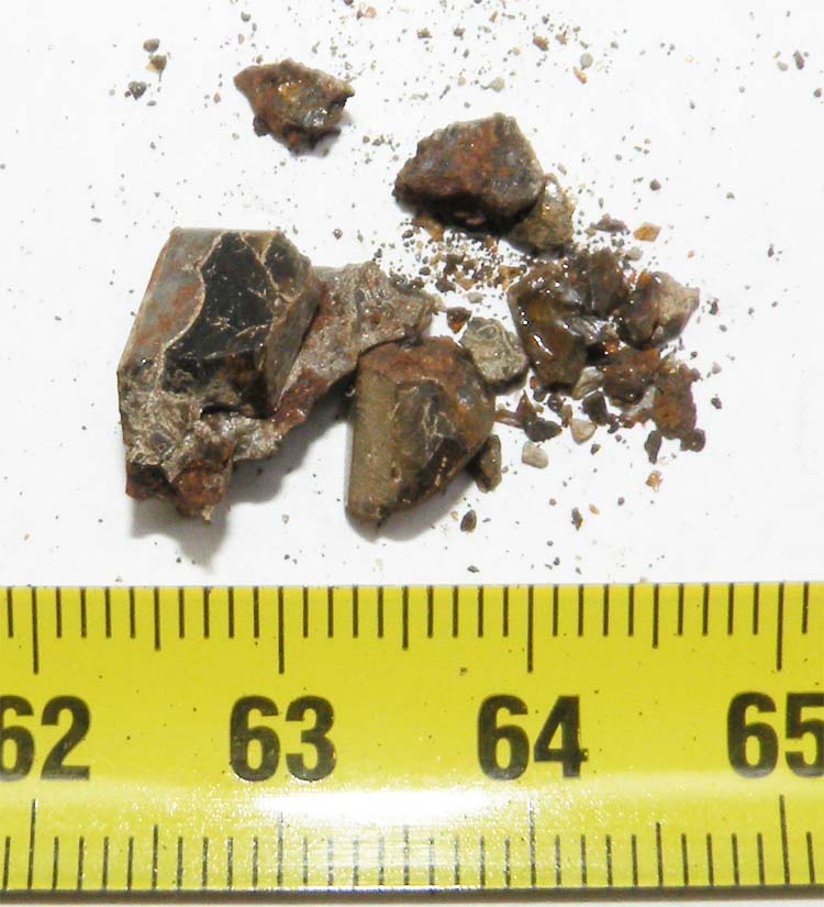 https://www.nuggetsfactory.com/EURO/meteorite/brahin%20palassite/4%20brahin.jpg