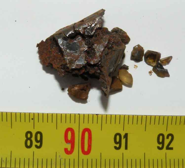 https://www.nuggetsfactory.com/EURO/meteorite/brahin%20palassite/5%20brahin.jpg