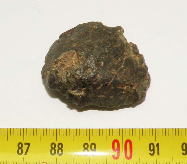 https://www.nuggetsfactory.com/EURO/meteorite/nwa%20869/22%20nwa%20869.jpg