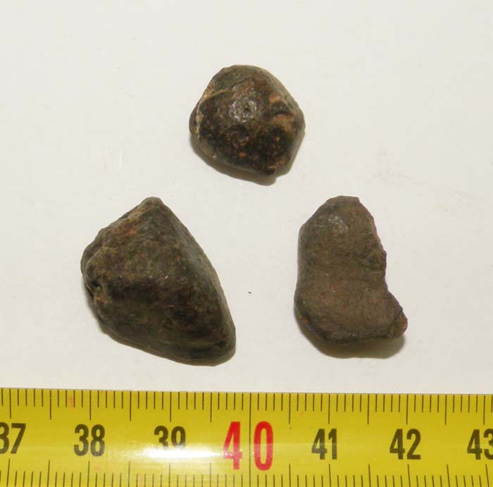 https://www.nuggetsfactory.com/EURO/meteorite/nwa%20869/31%20nwa%20869.jpg