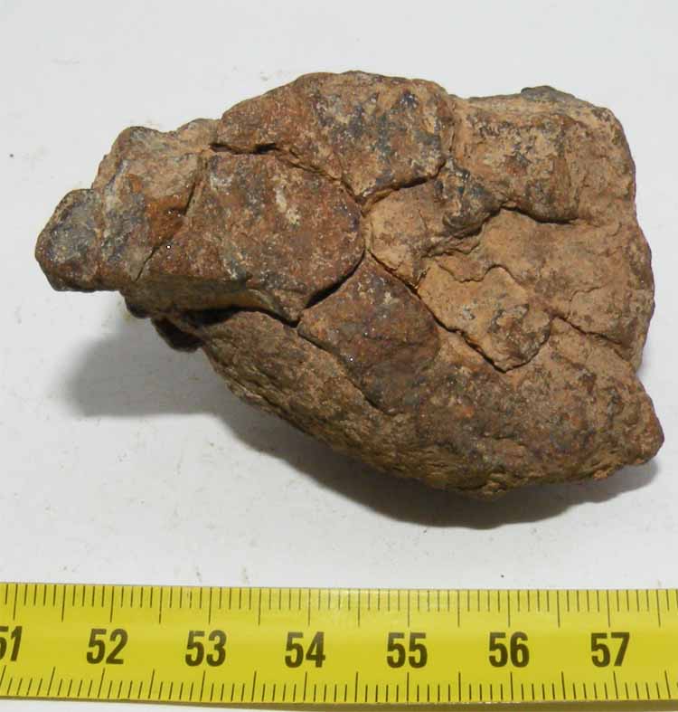 https://www.nuggetsfactory.com/EURO/meteorite/nwa/17%20nwa%20nc%20a.jpg