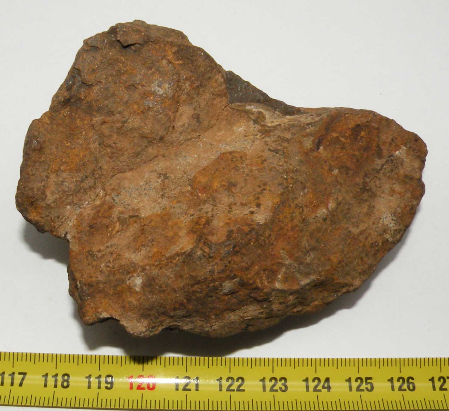 https://www.nuggetsfactory.com/EURO/meteorite/nwa/32%20nwa%20nc%20a.jpg
