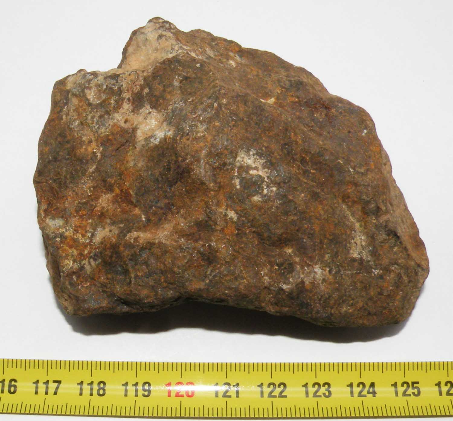 https://www.nuggetsfactory.com/EURO/meteorite/nwa/32%20nwa%20nc.jpg