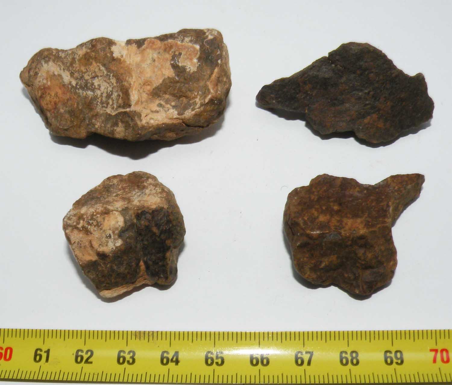 https://www.nuggetsfactory.com/EURO/meteorite/nwa/33%20nwa%20nc.jpg